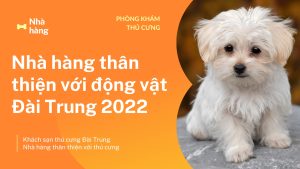 Read more about the article Nhà hàng thân thiện với động vật Đài Trung