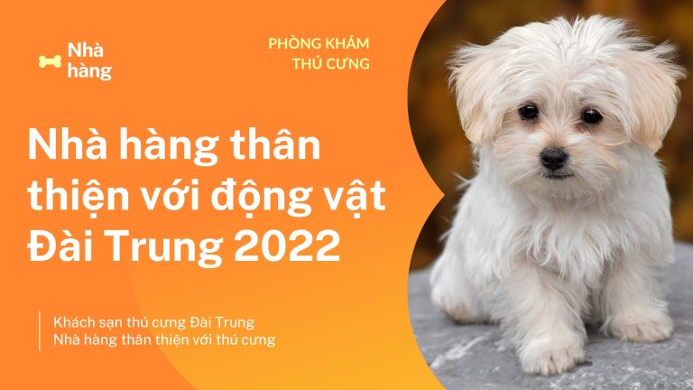 Nhà hàng thân thiện với động vật Đài Trung